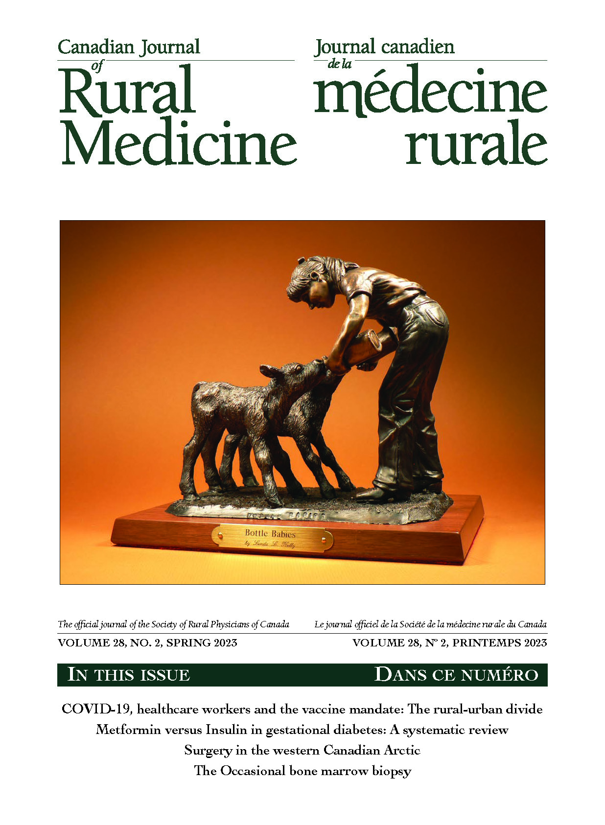 Systematic review of the use of metformin compared to insulin for the management of gestational diabetes: Implications for low‑resource settings cover